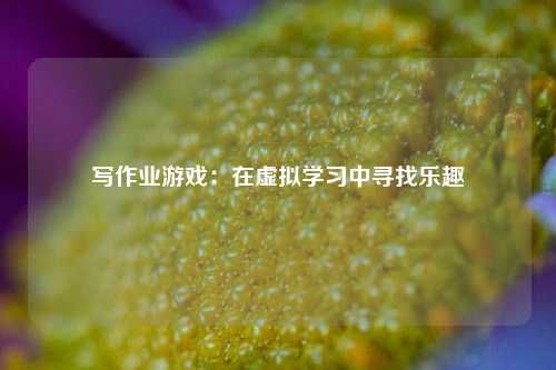 写作业游戏：在虚拟学习中寻找乐趣